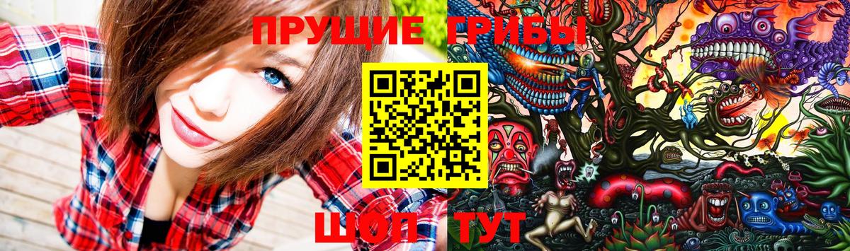 Нерюнгри  Галлюциногенные грибы прущие грибы  наркошоп  Вход с VPN 