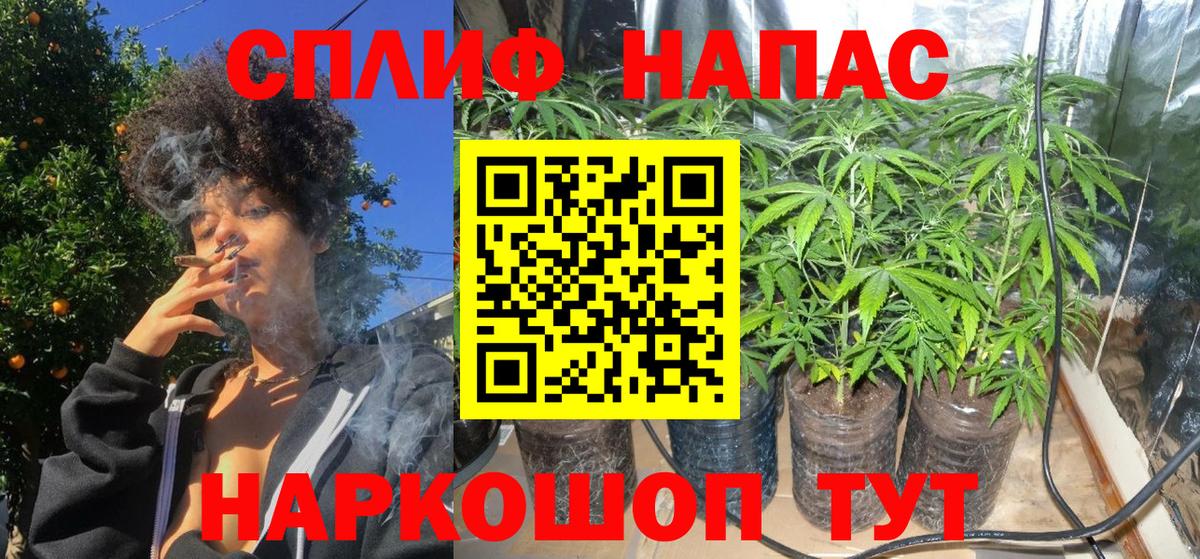 Марихуана SATIVA & INDICA Нерюнгри